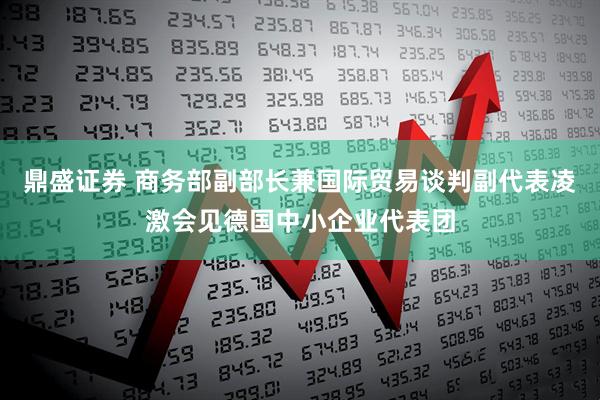 鼎盛证券 商务部副部长兼国际贸易谈判副代表凌激会见德国中小企业代表团